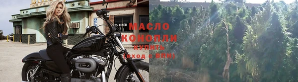 молекула духа Гусиноозёрск