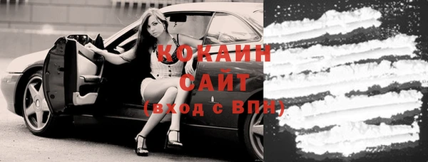 молекула духа Гусиноозёрск