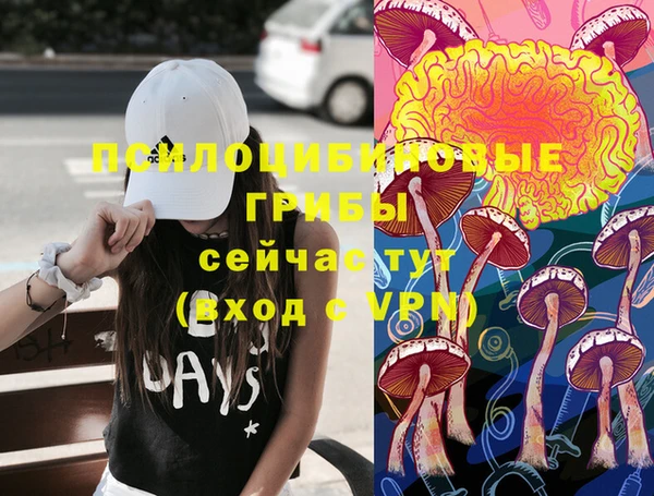 СК Гусев
