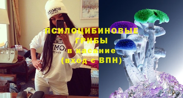 СК Гусев
