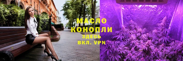 молекула духа Гусиноозёрск