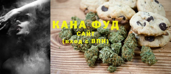 молекула духа Гусиноозёрск