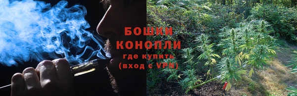 СК Гусев