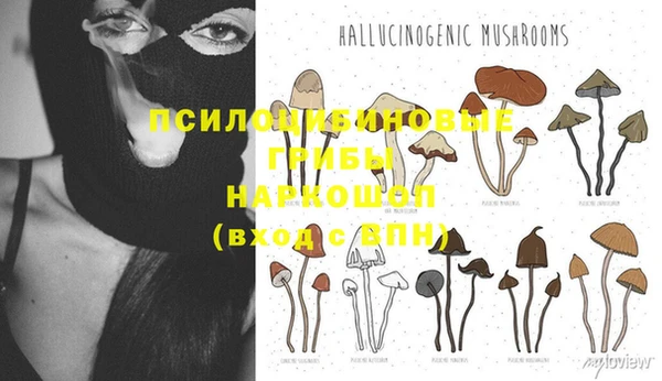 кокаин Гусь-Хрустальный